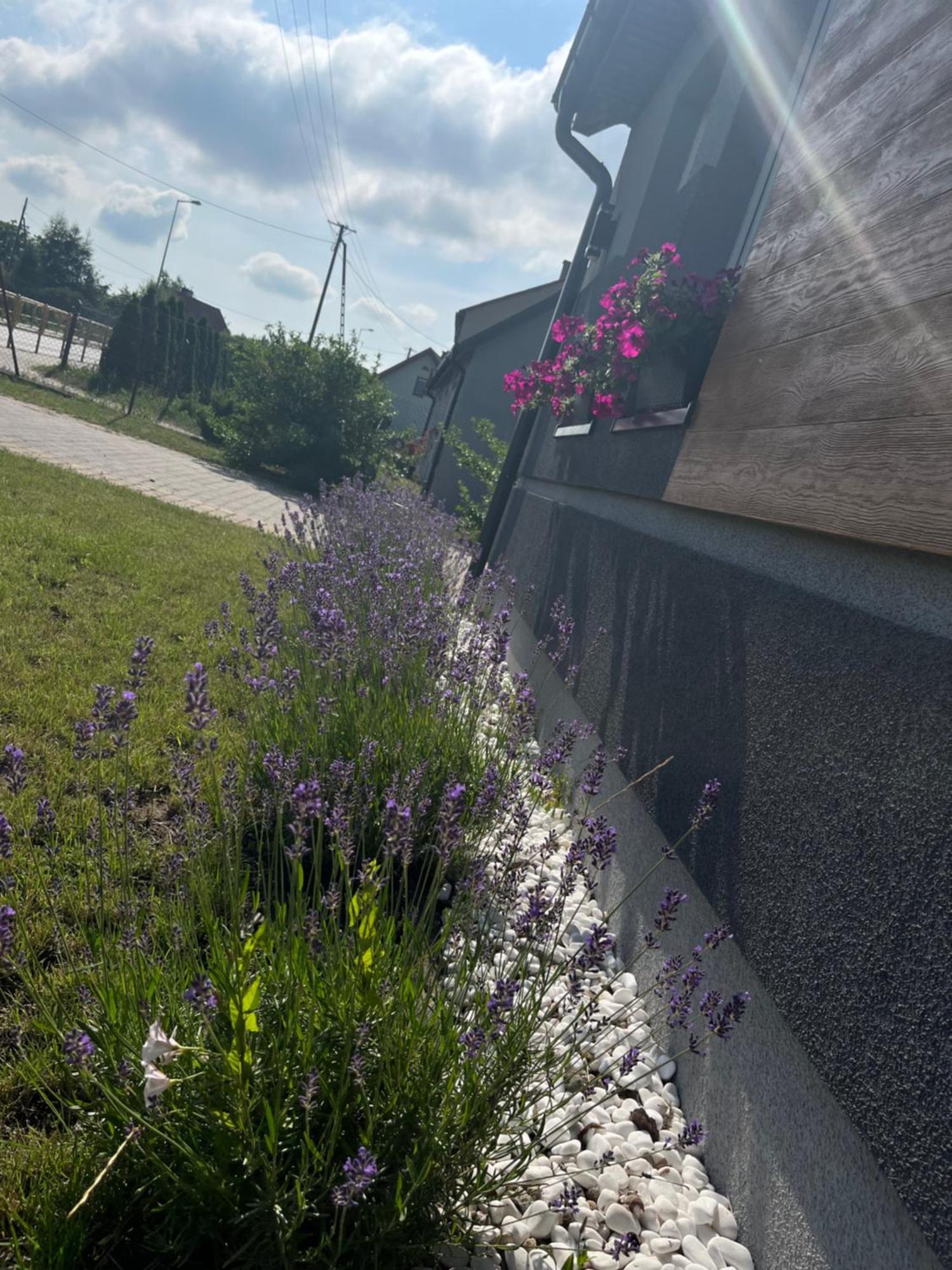 Apartament Numer 1, Dwie Sypialnie Dwa Lozka Orzysz Buitenkant foto